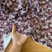 Tecido Estampado Viscoseda - Floral Margaridas Vinho