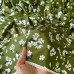 Tecido Estampado Viscoseda Flores ao Vento Verde