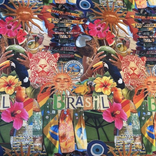 Tecido Estampado Viscoseda Brasil Verão Praia - Atacado
